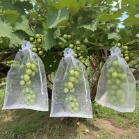 50 Uds. Bolsas de protección de uvas y frutas, bolsas de red antiparaspiradoras para jardín, bolsas de herramientas de malla para jardín de árboles agrícolas